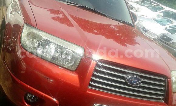 Buy Used Subaru Forester Red Car in Kampala in Uganda Buy Used Subaru Forester Red Car in Kampala in Uganda