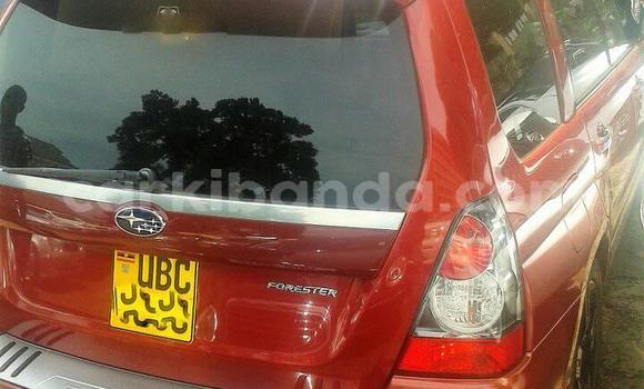 Buy Used Subaru Forester Red Car in Kampala in Uganda Buy Used Subaru Forester Red Car in Kampala in Uganda