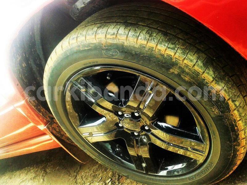 Big with watermark 32512086 437207556725916 3853285834375561216 n