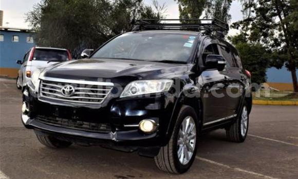 Buy Used Toyota Vanguard Other Car in Kampala in Uganda