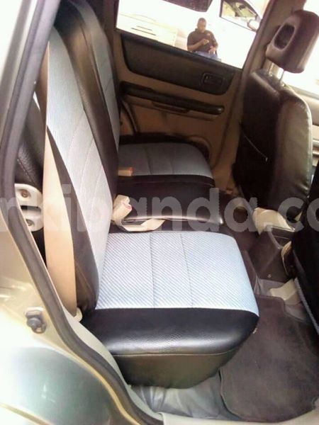 Big with watermark 30713367 2109701875916457 3681336901257956076 n