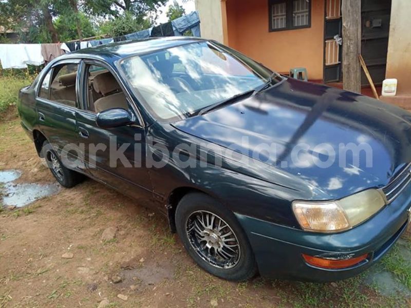 Big with watermark 30623955 578122035882356 6857030771144654848 n