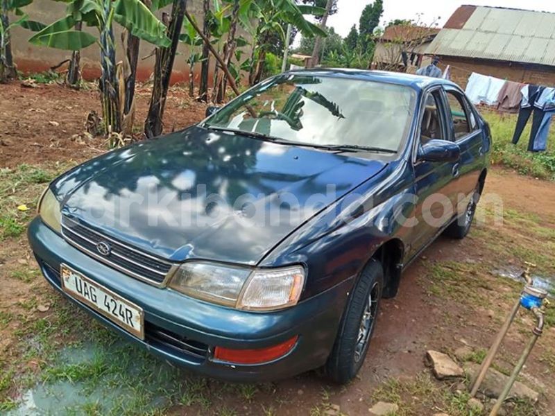 Big with watermark 30705011 1080215435450894 1812932972978896896 n