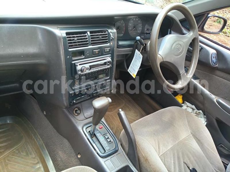 Big with watermark 30713367 2109701875916457 3681336901257956076 n