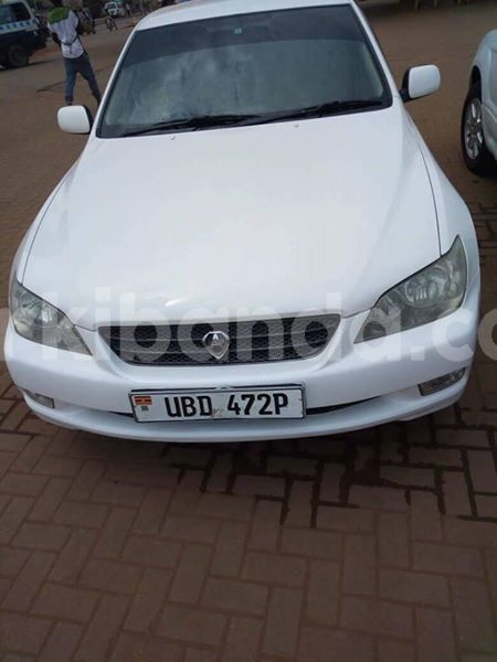 Big with watermark 30623955 578122035882356 6857030771144654848 n