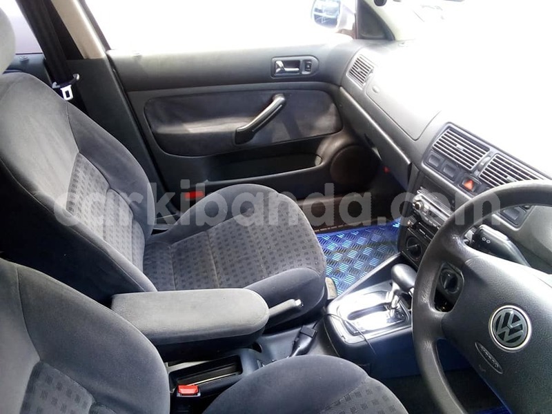 Big with watermark 39741029 143661273223280 388213856138166272 n