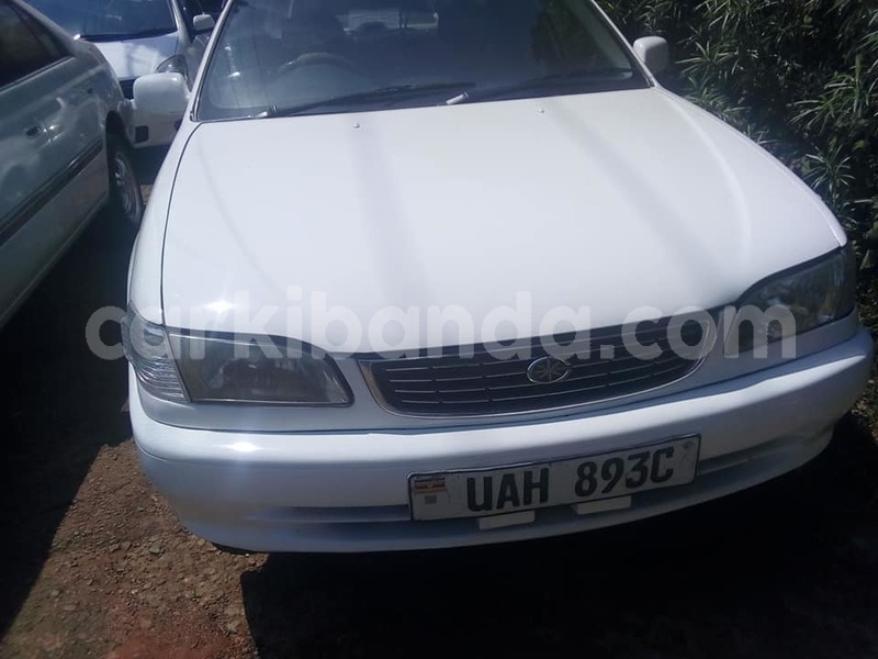 Big with watermark 39575658 143576123231795 9007013785168248832 n