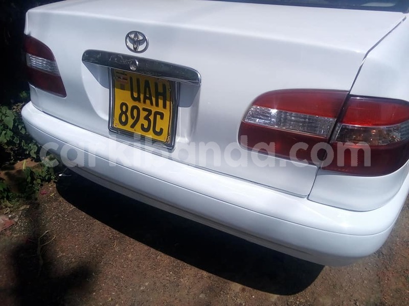 Big with watermark 39742760 143576283231779 3938471734688088064 n