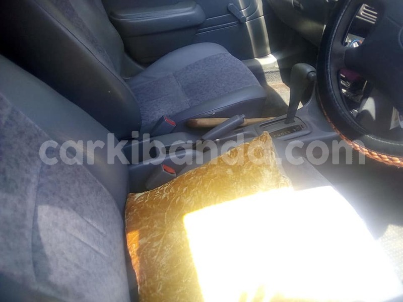 Big with watermark 39664885 143576163231791 8154324113893097472 n