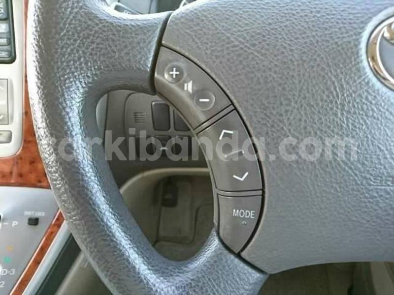 Big with watermark 39406819 2127884664133742 2311012260052467712 n