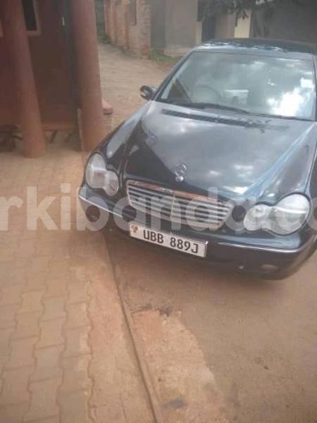 Big with watermark 39993745 261302774710758 116138531318923264 n