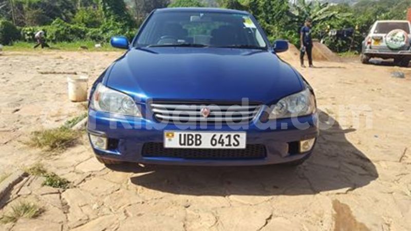 Big with watermark 39955910 1879053252185935 4865704798223073280 n