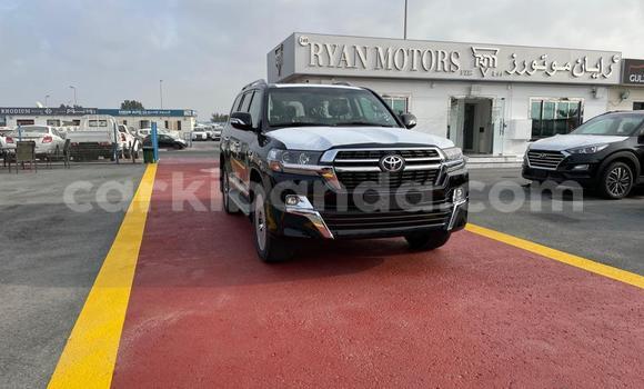 Buy New Toyota Land Cruiser Black Car in Amudat in Northern