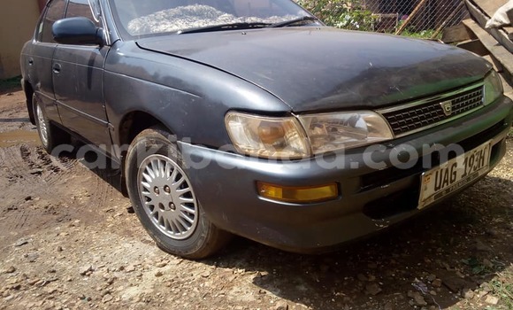 Buy Used Toyota Corolla Blue Car in Kampala in Uganda Buy Used Toyota Corolla Blue Car in Kampala in Uganda