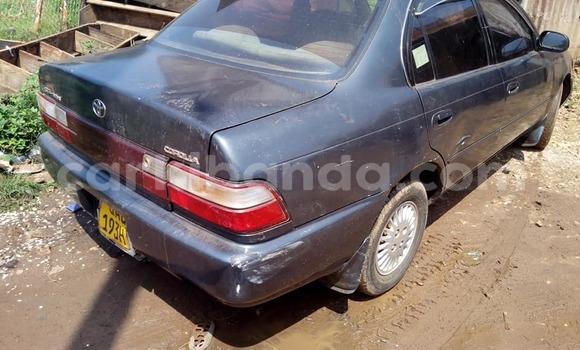Buy Used Toyota Corolla Blue Car in Kampala in Uganda Buy Used Toyota Corolla Blue Car in Kampala in Uganda