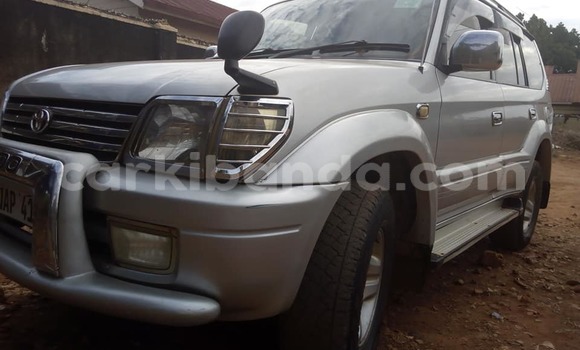 Buy Used Toyota Land Cruiser Silver Car in Kampala in Uganda Buy Used Toyota Land Cruiser Silver Car in Kampala in Uganda