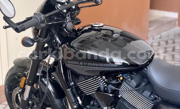 Buy Used Harley Davidson Street Black Bike in Kampala in Uganda