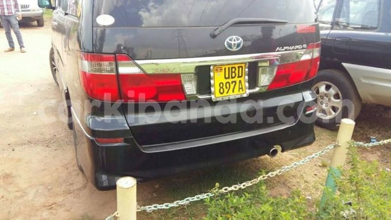 Big with watermark 30623955 578122035882356 6857030771144654848 n