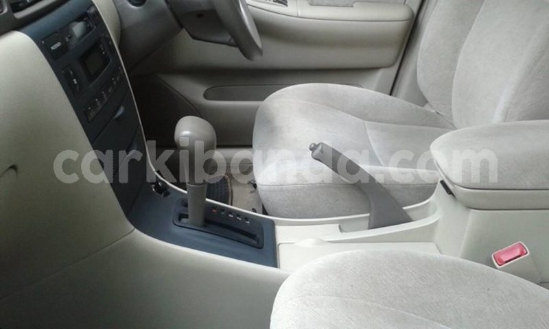 Big with watermark 30705011 1080215435450894 1812932972978896896 n