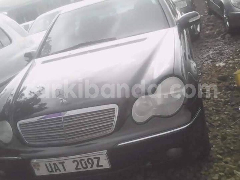 Big with watermark 30629329 194112211393369 244064733525704704 n