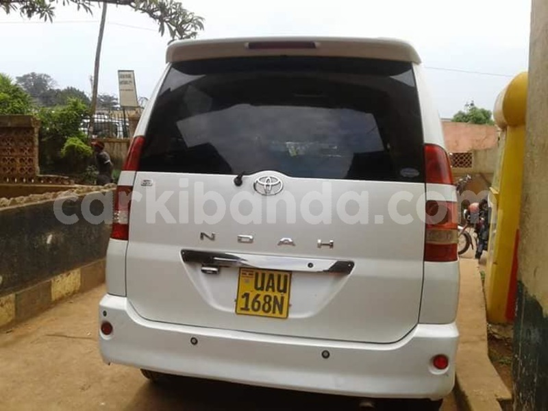 Big with watermark 30623955 578122035882356 6857030771144654848 n