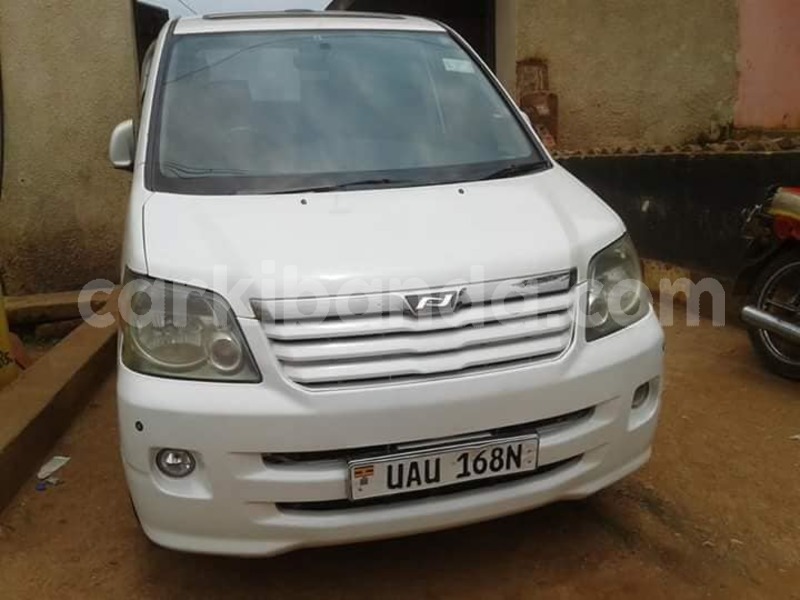 Big with watermark 30629329 194112211393369 244064733525704704 n