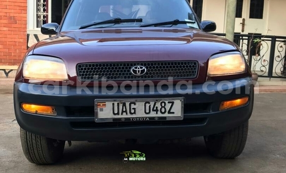 Acheter Occasion Voiture Toyota RAV4 Rouge à Kampala, Ouganda Acheter Occasion Voiture Toyota RAV4 Rouge à Kampala, Ouganda