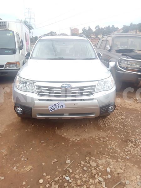 Big with watermark 30623955 578122035882356 6857030771144654848 n