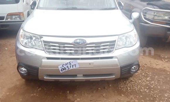 Buy Used Subaru Forester Silver Car in Kampala in Uganda Buy Used Subaru Forester Silver Car in Kampala in Uganda
