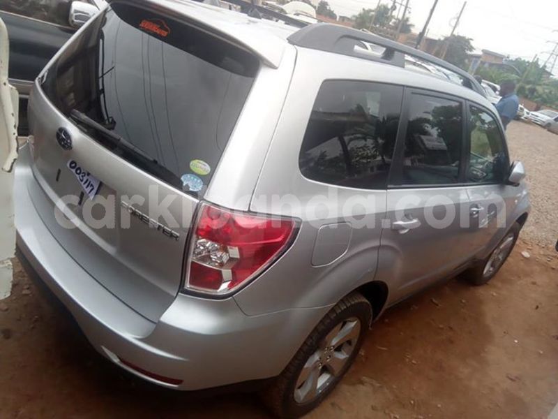 Big with watermark 30705011 1080215435450894 1812932972978896896 n