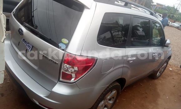 Buy Used Subaru Forester Silver Car in Kampala in Uganda Buy Used Subaru Forester Silver Car in Kampala in Uganda