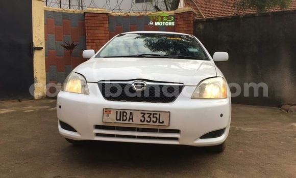 Acheter Occasion Voiture Toyota Runx Blanc à Kampala, Ouganda Acheter Occasion Voiture Toyota Runx Blanc à Kampala, Ouganda