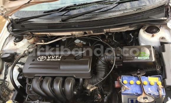 Acheter Occasion Voiture Toyota Runx Blanc à Kampala, Ouganda Acheter Occasion Voiture Toyota Runx Blanc à Kampala, Ouganda