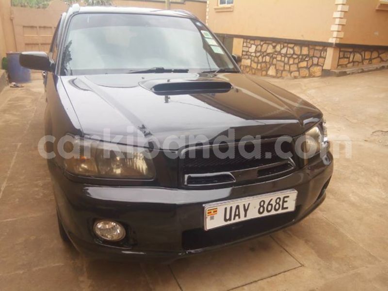 Big with watermark 30623955 578122035882356 6857030771144654848 n