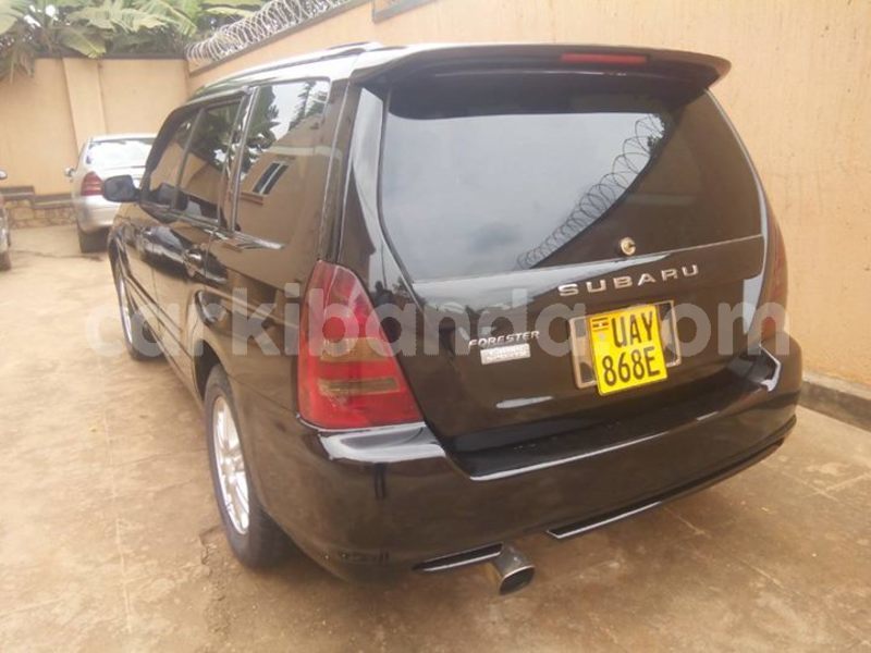 Big with watermark 30629329 194112211393369 244064733525704704 n