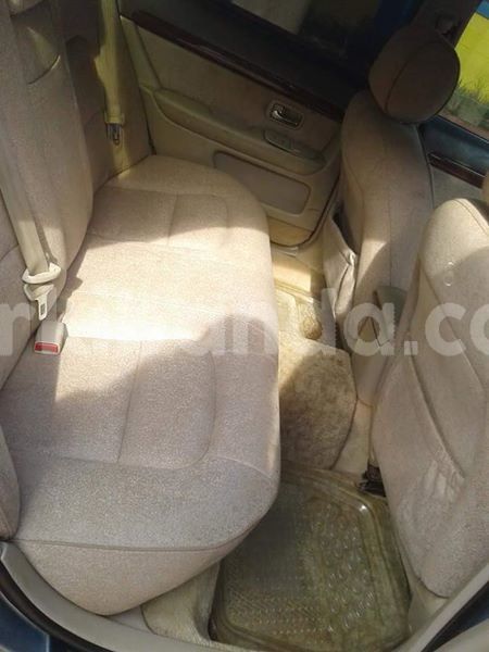 Big with watermark 30705011 1080215435450894 1812932972978896896 n