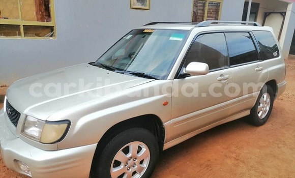 Buy Used Subaru Forester Silver Car in Adjumani in Northern Buy Used Subaru Forester Silver Car in Adjumani in Northern