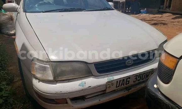 Buy Used Toyota Corolla White Car in Adjumani in Northern