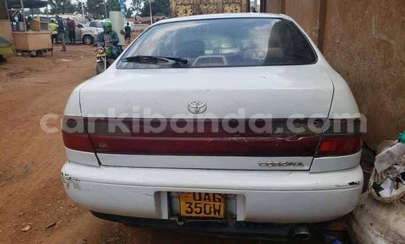 Buy Used Toyota Corolla White Car in Adjumani in Northern Buy Used Toyota Corolla White Car in Adjumani in Northern