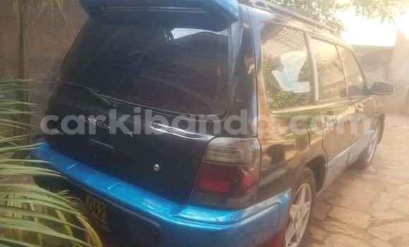 Buy Used Subaru Forester Blue Car in Adjumani in Northern Buy Used Subaru Forester Blue Car in Adjumani in Northern