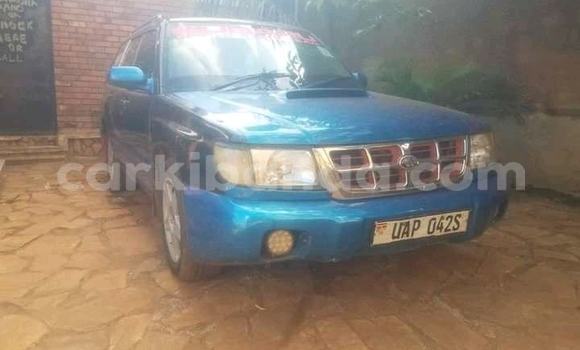 Buy Used Subaru Forester Blue Car in Adjumani in Northern Buy Used Subaru Forester Blue Car in Adjumani in Northern