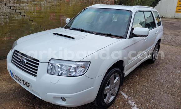 Buy Used Subaru Forester Other Car in Kampala in Uganda Buy Used Subaru Forester Other Car in Kampala in Uganda
