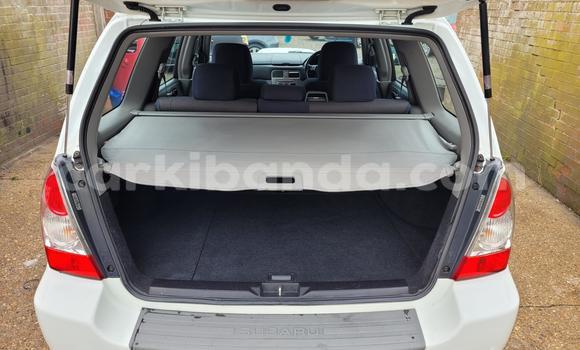 Buy Used Subaru Forester Other Car in Kampala in Uganda Buy Used Subaru Forester Other Car in Kampala in Uganda