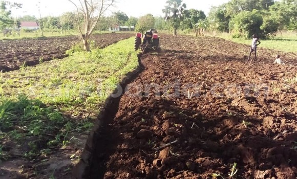 Buy Used Caterpillar 120 Red Truck in Kampala in Uganda Buy Used Caterpillar 120 Red Truck in Kampala in Uganda