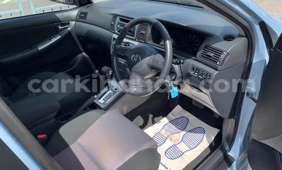 Gura Yakoze Toyota Runx Other Imodoka i Kampala mu Uganda Gura Yakoze Toyota Runx Other Imodoka i Kampala mu Uganda