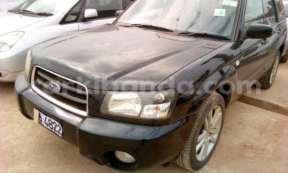 Buy Used Subaru Forester Black Car in Kampala in Uganda Buy Used Subaru Forester Black Car in Kampala in Uganda