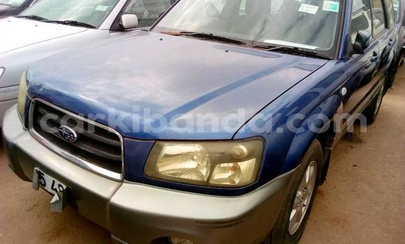 Buy Used Subaru Forester Black Car in Kampala in Uganda Buy Used Subaru Forester Black Car in Kampala in Uganda