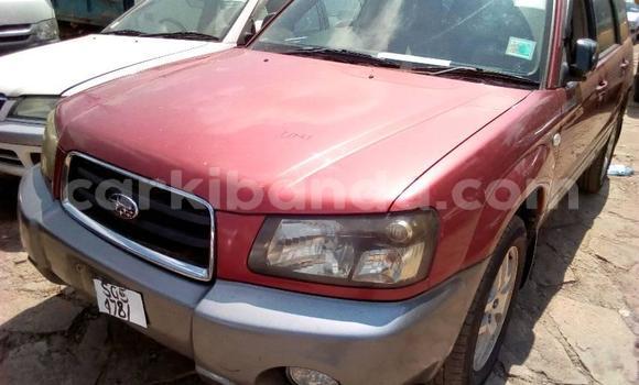 Buy Used Subaru Forester Black Car in Kampala in Uganda Buy Used Subaru Forester Black Car in Kampala in Uganda