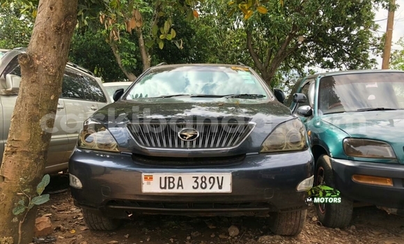 Acheter Occasion Voiture Toyota Harrier Noir à Kampala, Ouganda