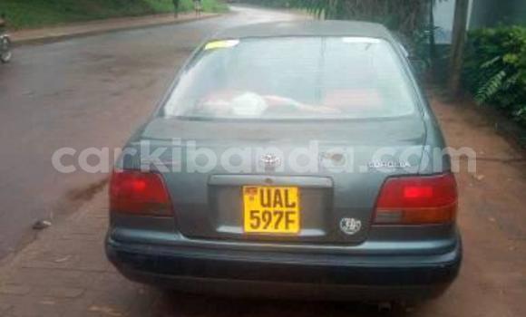 Buy Used Toyota Corolla Other Car in Kampala in Uganda Buy Used Toyota Corolla Other Car in Kampala in Uganda